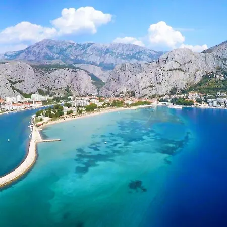 Seaside Kamelia